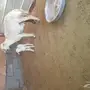للبيع خلفات