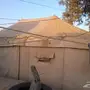 خيمة بر نظيفة