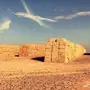 برسيم للببيع عدد 20الف