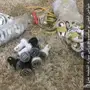 مستلزمات جوالات