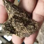 عود الكاوياي الملكي الافضل على الاطلاق ونادر