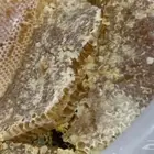 عسل بلدي من منحلي سدر سمره طلحه مجرى شمع صافي