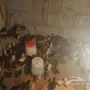 صوص بلدي ملون 
