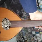 عود عراقي عود سوري عود بحريني عود مصري