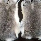 فرو طبيعي أرنب