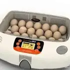 فقاسة اركم 20 غنية عن التعريف