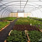 بيوت محمية جديدة للبيع ( مكيفة - غير مكيفة )