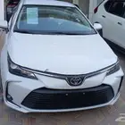 كورولا ستاندر 2025