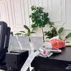لتقبيل محل حلويات