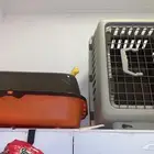 قطط