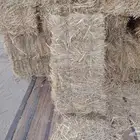 ذره شد جندير تبوك
