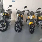 دباب بجاج بوكسر اصفار