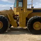 سائق شيول مصري