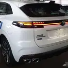 شانجان يوني كي