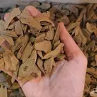 مروكي طبيعي للمناسبات والمجالس