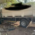 ديانه ايسوزو سوبرجامبو