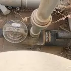أغراض مسبح