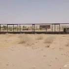 شبوك