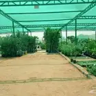 مشاتل زراعية للإيجار السنوي