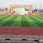 ملاعب نجيل صناعي