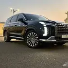 باليسيد كليجرافي 2024 بصيانة مجانية وارد الناغي