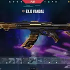 حساب فالورانت بعته الله يبارك للي شراه