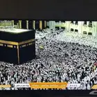 القنفذة
