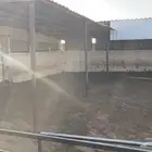 حضاير غنم عالشارع الرئيسي