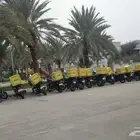 25 دباب للبيع