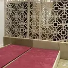 شتر فندقي جميل