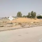 للبيع ارضين متظاهرات بحي الروابي بعنيزة