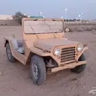 جيب ريو 1973