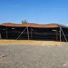 بيت شعر مثولث بحالة جبدة