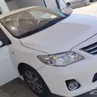 كوريلا 2013