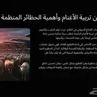انشاء حضائر تربية الأغنام