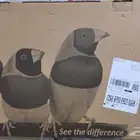 شاشة كمبيوتر 24 بوصة