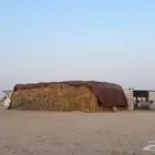 علف حرض رودس مخزن