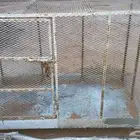 للبيع شبك طيور او دجاج