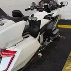 قولد وينق 2019 سعودي