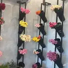 مطلوب زوجة مسيار الطايف