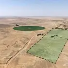 مزرعة للبيع بحائل الهيلا