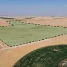 مزرعة للبيع