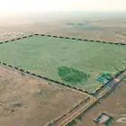 مزرعة للبيع