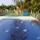 باسعار رمزية تصميم مخطط معمارى وانشائى و3 دى للفرش والديكور