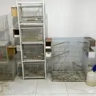 مسلتزمات طيور واقفاص وبياضات مستخدمه