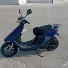 دباب البطه نضيف جدا