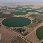 مزرعة للبيع بحائل في الوبريات