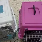 اقفاص للبيع