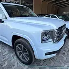 هفال H9 2026-اقل سعر( كاش وتمويل)