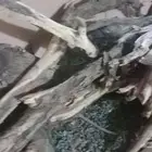 محفظة الغزاله